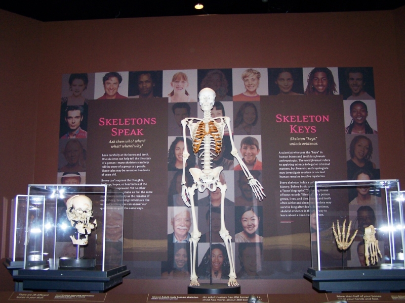 2010-01-ScoutDCMuseums-073.jpg