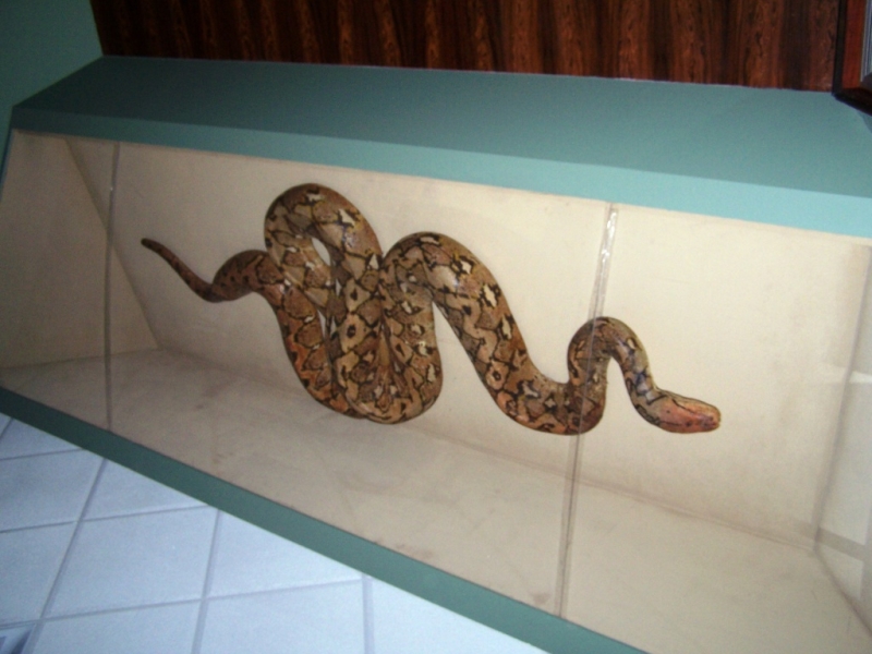 2010-01-ScoutDCMuseums-074.jpg