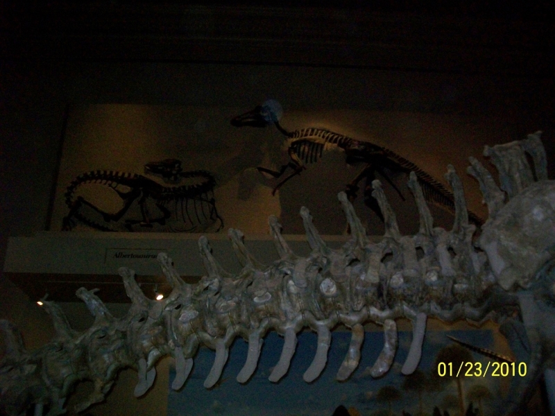 2010-01-ScoutDCMuseums-084.jpg