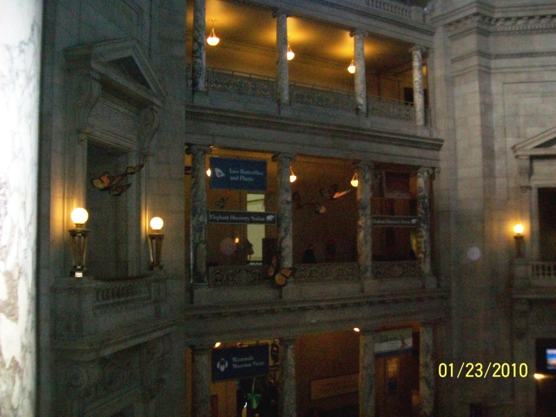 2010-01-ScoutDCMuseums-087.jpg