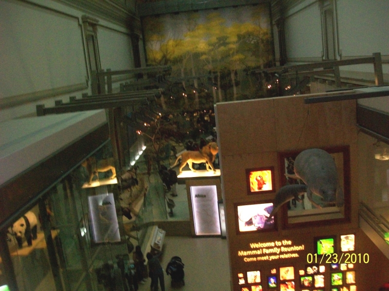 2010-01-ScoutDCMuseums-088.jpg