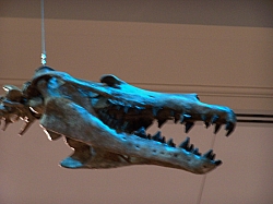 2010-01-ScoutDCMuseums-013.jpg