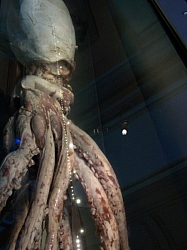 2010-01-ScoutDCMuseums-015.jpg