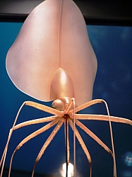 2010-01-ScoutDCMuseums-016.jpg