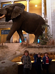 2010-01-ScoutDCMuseums-021.jpg