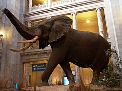 2010-01-ScoutDCMuseums-022.jpg