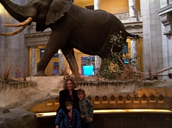 2010-01-ScoutDCMuseums-023.jpg