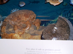 2010-01-ScoutDCMuseums-029.jpg