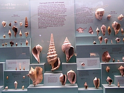 2010-01-ScoutDCMuseums-030.jpg