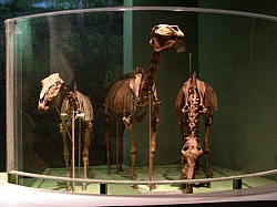 2010-01-ScoutDCMuseums-033.jpg