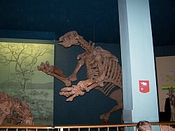 2010-01-ScoutDCMuseums-034.jpg