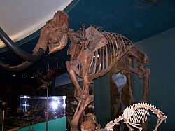 2010-01-ScoutDCMuseums-035.jpg