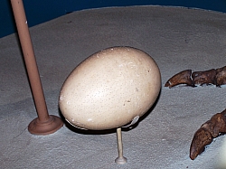 2010-01-ScoutDCMuseums-038.jpg