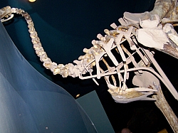 2010-01-ScoutDCMuseums-039.jpg