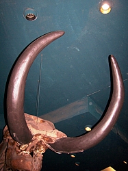 2010-01-ScoutDCMuseums-042.jpg