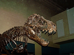 2010-01-ScoutDCMuseums-048.jpg