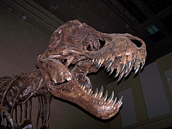 2010-01-ScoutDCMuseums-049.jpg