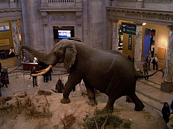 2010-01-ScoutDCMuseums-053.jpg