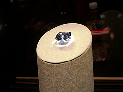 2010-01-ScoutDCMuseums-055.jpg