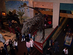 2010-01-ScoutDCMuseums-056.jpg