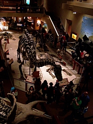 2010-01-ScoutDCMuseums-057.jpg