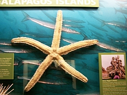 2010-01-ScoutDCMuseums-072.jpg