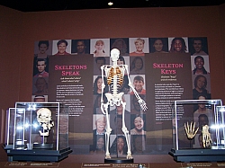2010-01-ScoutDCMuseums-073.jpg