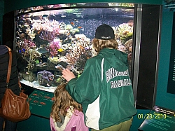 2010-01-ScoutDCMuseums-081.jpg