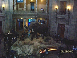 2010-01-ScoutDCMuseums-086.jpg