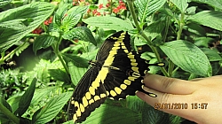2010-01-DCTrip-029.jpg