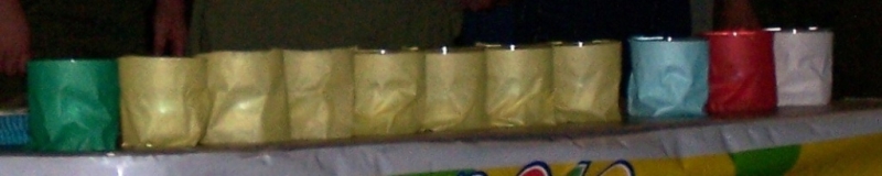 2010-02-BlueAndGold-111.jpg