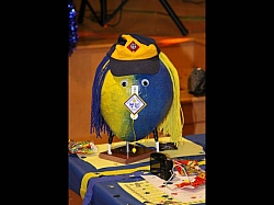 2010-02-BlueAndGold-068.jpg