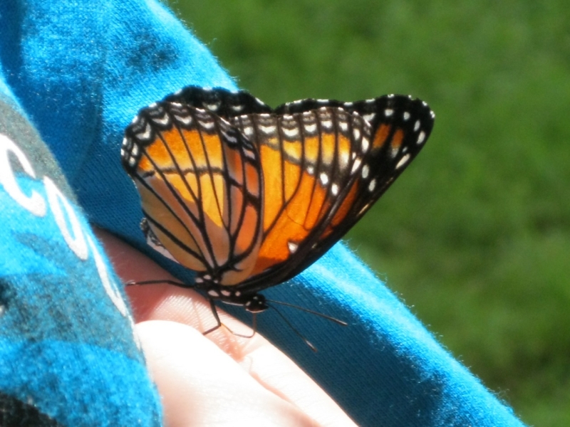 2010-07-20-DayCamp-Day2-012.jpg