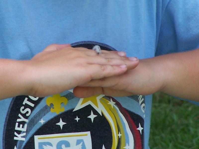 2010-07-22-Day4DayCamp-062.jpg
