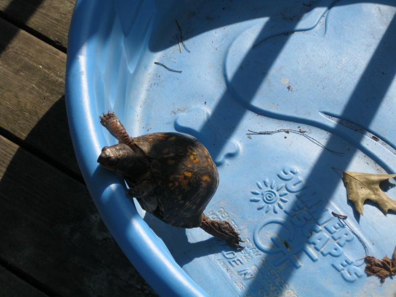 2010-07-31-ResidentCamp-037.jpg
