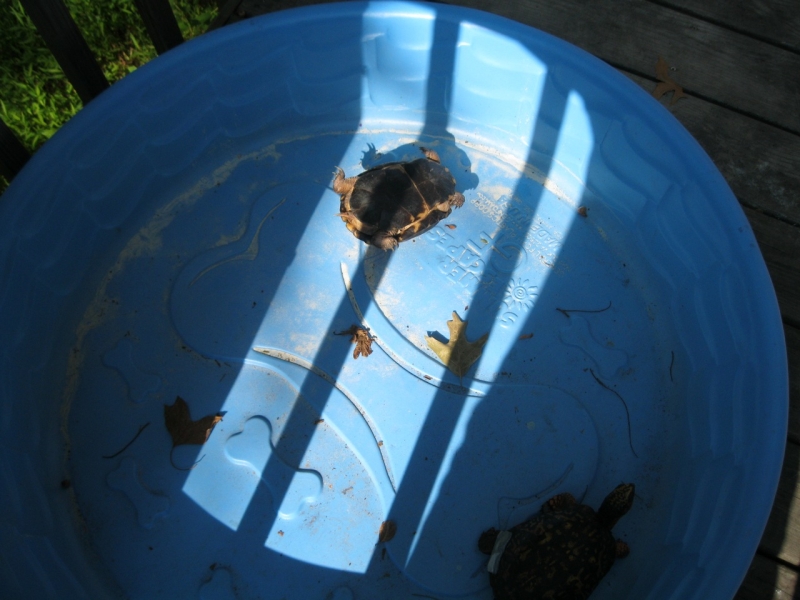 2010-07-31-ResidentCamp-040.jpg