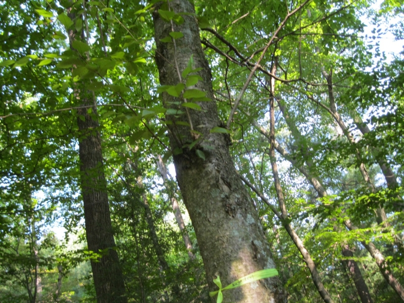 2010-07-31-ResidentCamp-046.jpg