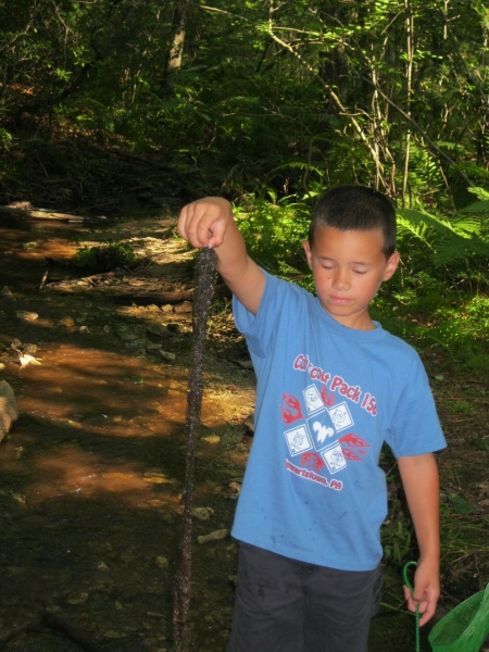 2010-07-31-ResidentCamp-052.jpg