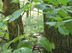 2010-07-31-ResidentCamp-144.jpg