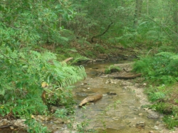 2010-07-31-ResidentCamp-239.jpg