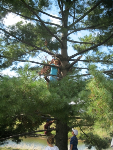 2010-09-06-ScoutsFtMcHenry-002.jpg