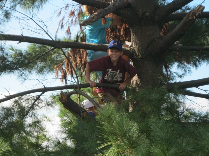2010-09-06-ScoutsFtMcHenry-003.jpg