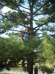 2010-09-06-ScoutsFtMcHenry-002.jpg