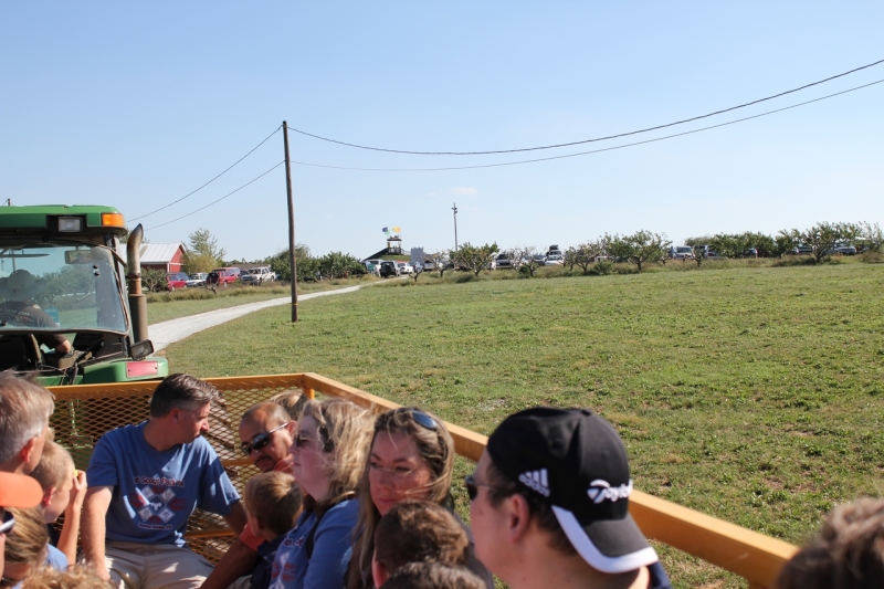 2010-09-25-MapleLawnFarms-043.jpg