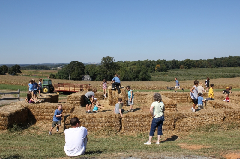 2010-09-25-ScoutsMapleLawnFarms-001.jpg