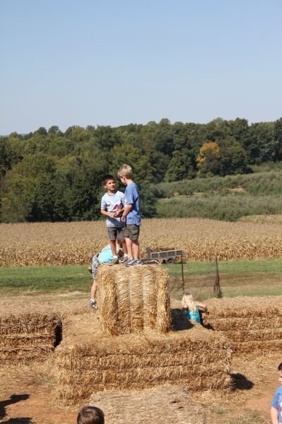 2010-09-25-ScoutsMapleLawnFarms-008.jpg