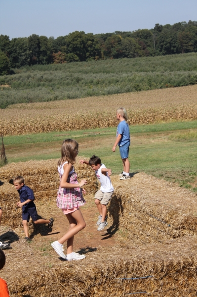 2010-09-25-ScoutsMapleLawnFarms-010.jpg