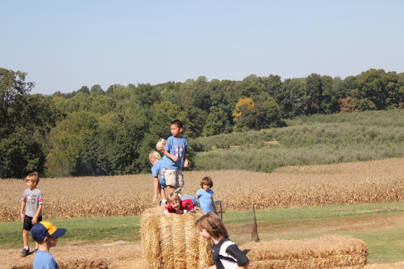 2010-09-25-ScoutsMapleLawnFarms-014.jpg
