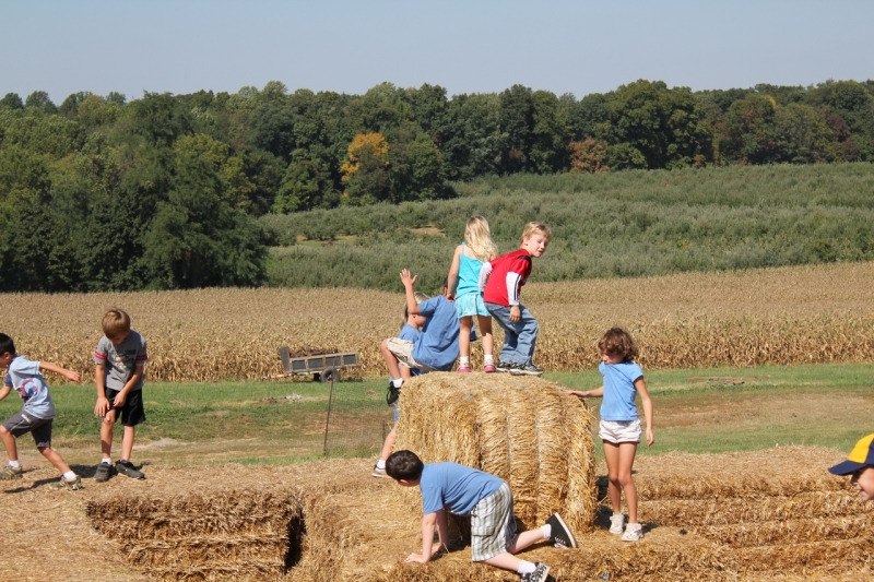 2010-09-25-ScoutsMapleLawnFarms-015.jpg