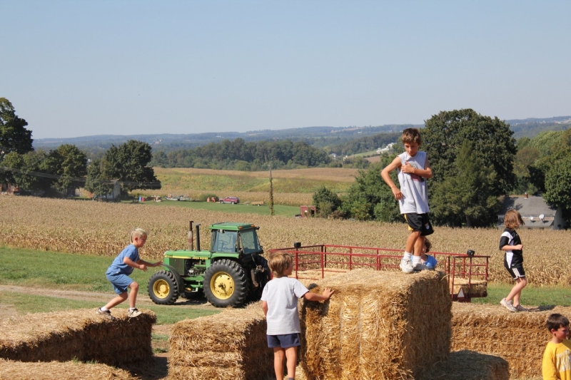 2010-09-25-ScoutsMapleLawnFarms-018.jpg